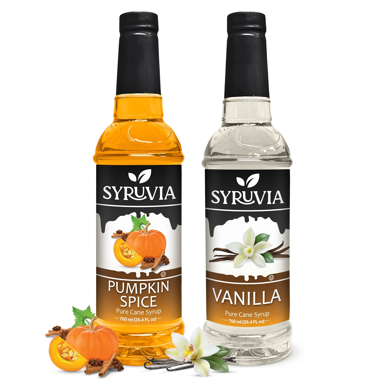 Pumpkin Spice Syrup Vanilla Syrup