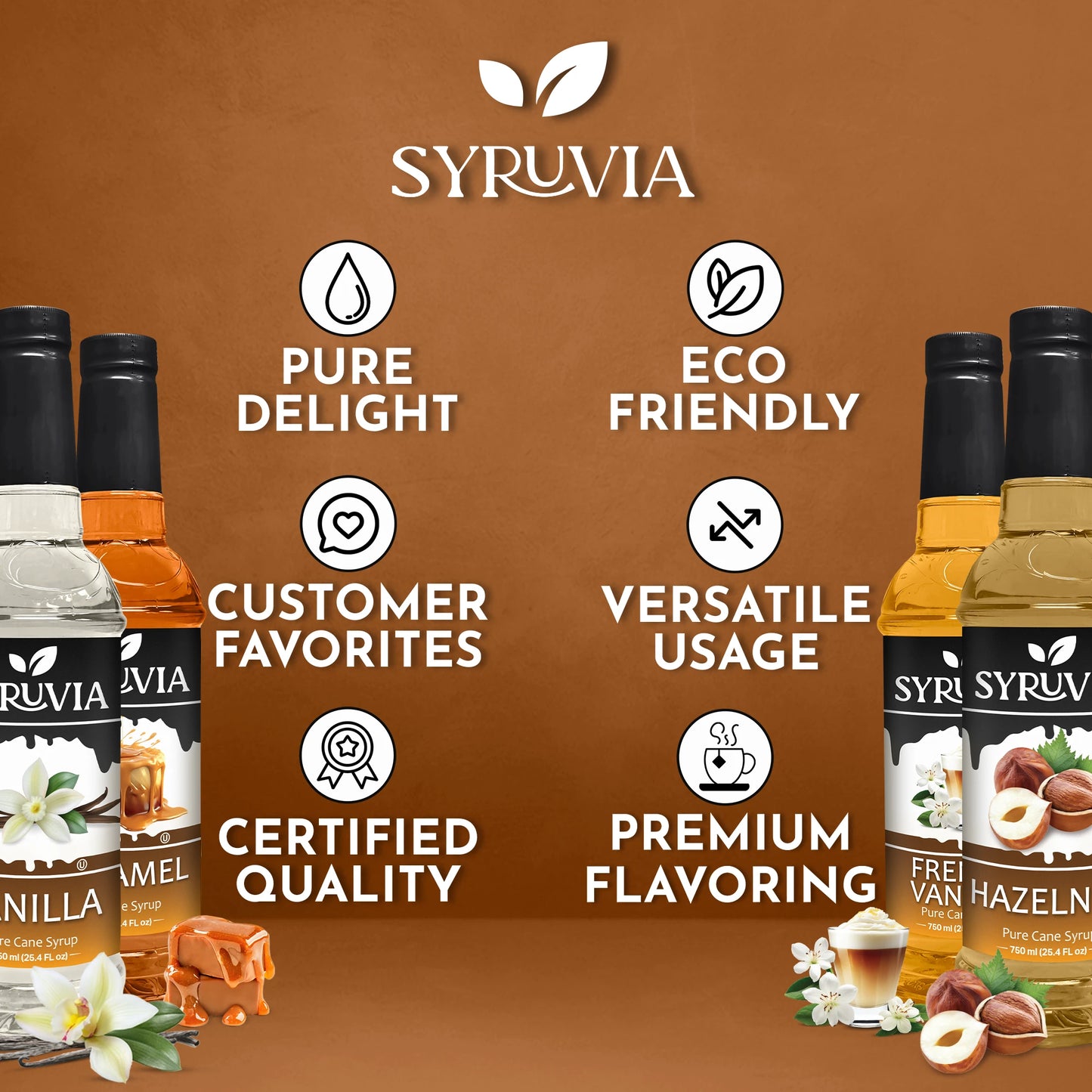 Variety Pack, Vanilla, Caramel, Hazelnut, and French Vanilla Syrup