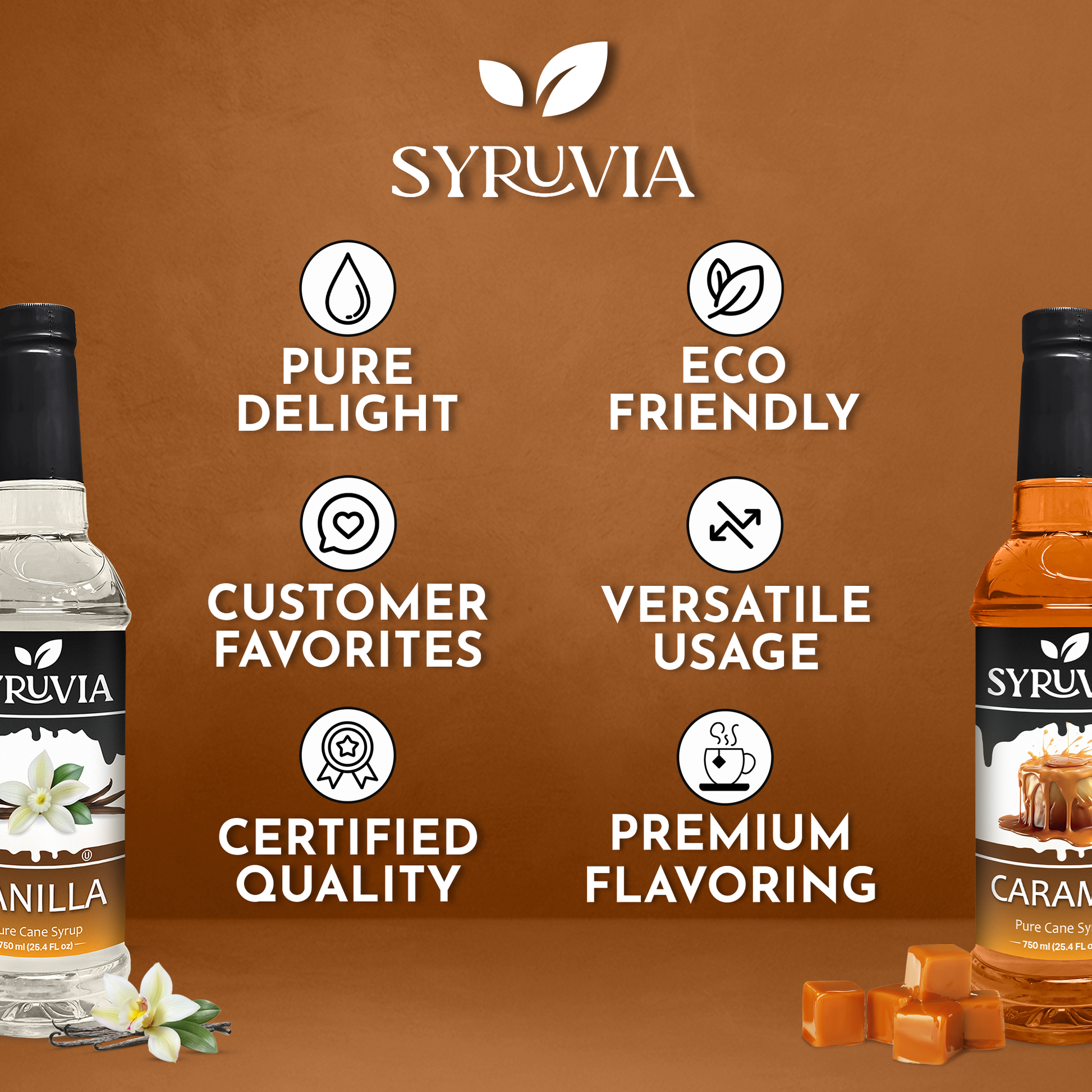 Vanilla Syrup Caramel Coffee Syrup