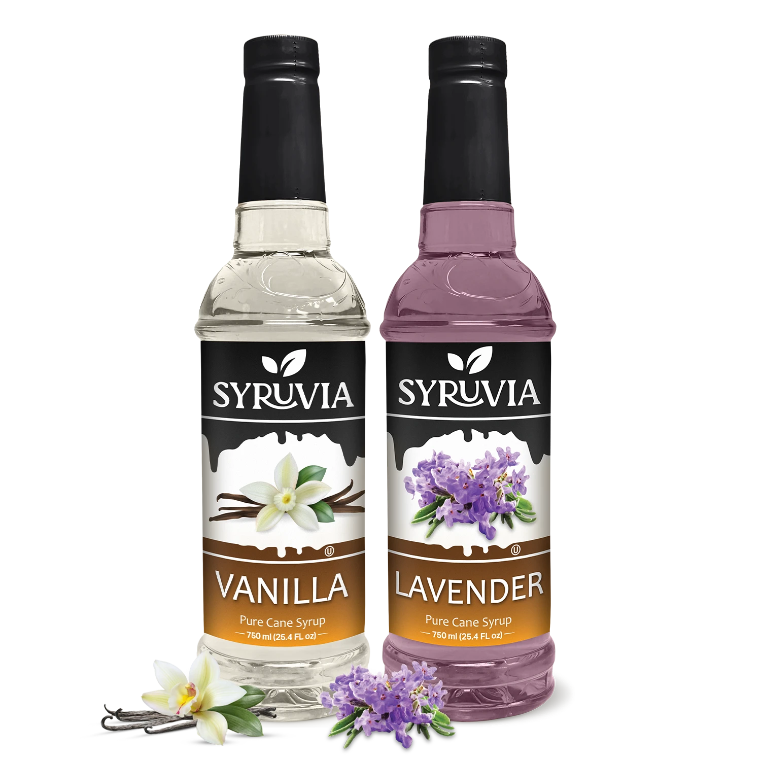 Vanilla Syrup Lavender Syrup