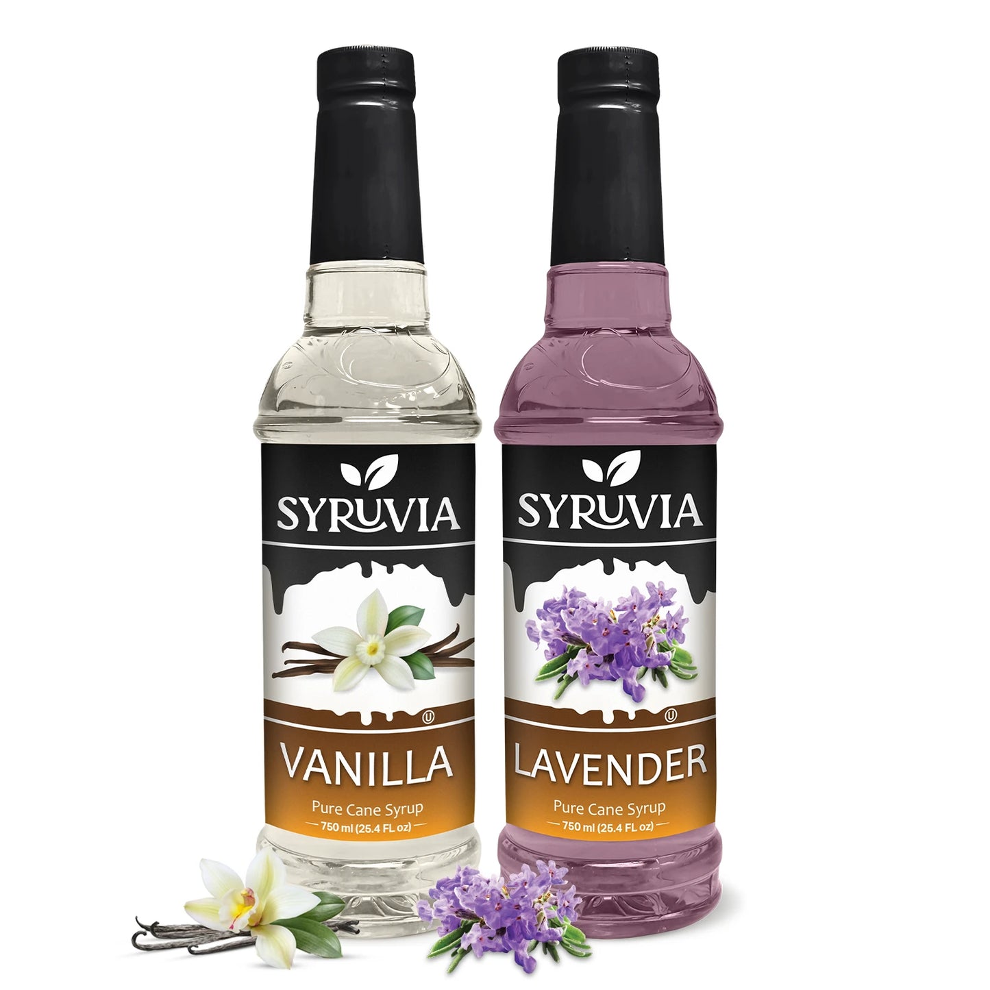 Variety Pack, Vanilla, and Lavender Syrup