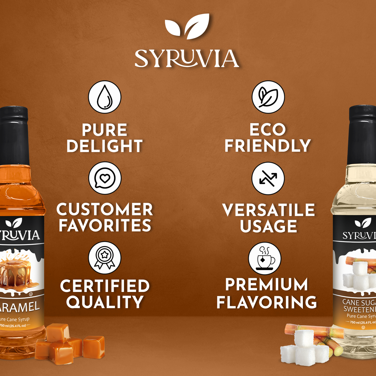 Variety Pack, Caramel, and Cane Sugar Sweetener Syrup