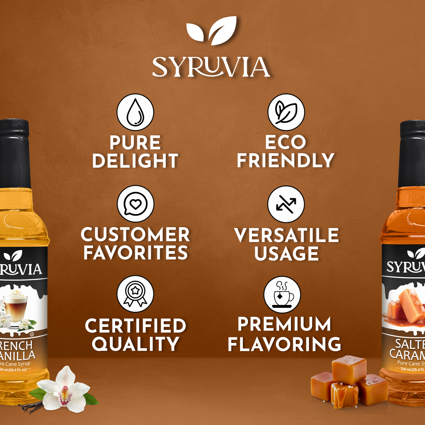 Variety Pack, French Vanilla, and Salted Caramel Syrup