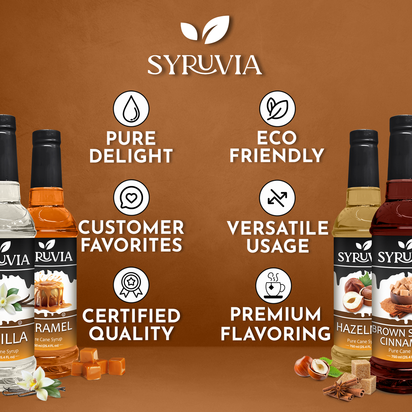 Variety Pack, Vanilla, Caramel, Hazelnut, and Brown Sugar Cinnamon Syrup