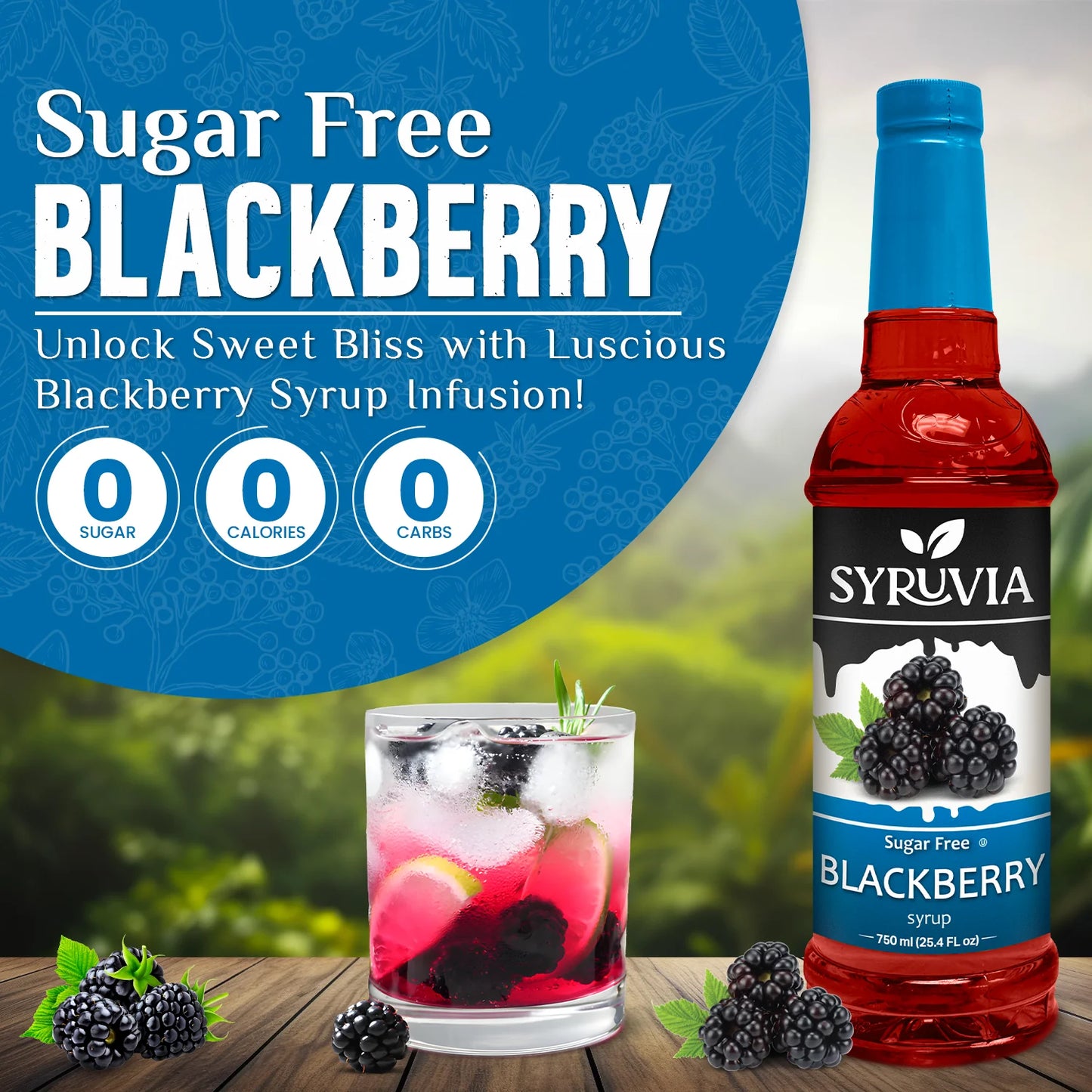blackberry syrup sugar free