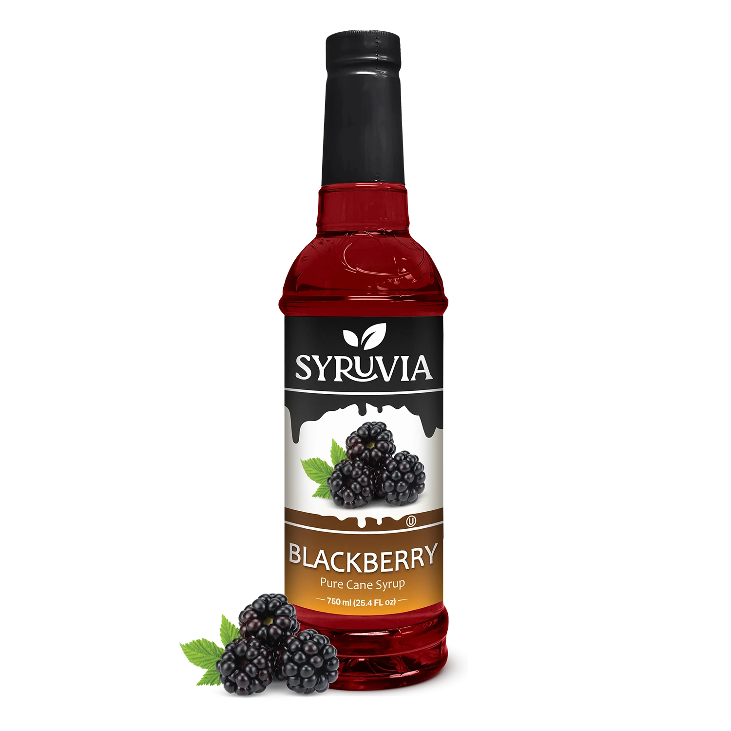 Syruvia Blackberry Pure Cane Syrup Bottle 750ml With Fresh Blackberries