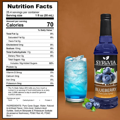 Blueberry Syrup Nutrition Facts