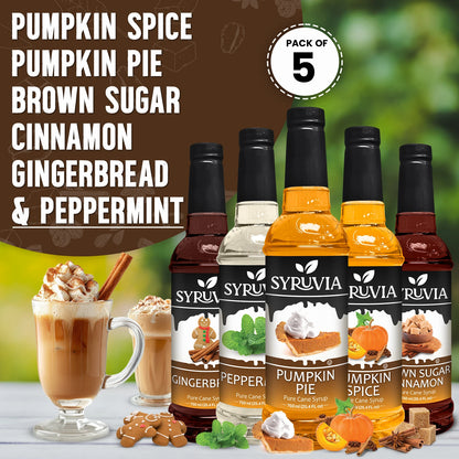 Pumpkin Spice Coffee Syrup Pumpkin Pie Coffee  Syrup Brown Sugar Cinnamon Coffee Syrup Gingerbread Coffee Syrup Peppermint Coffee Syrup