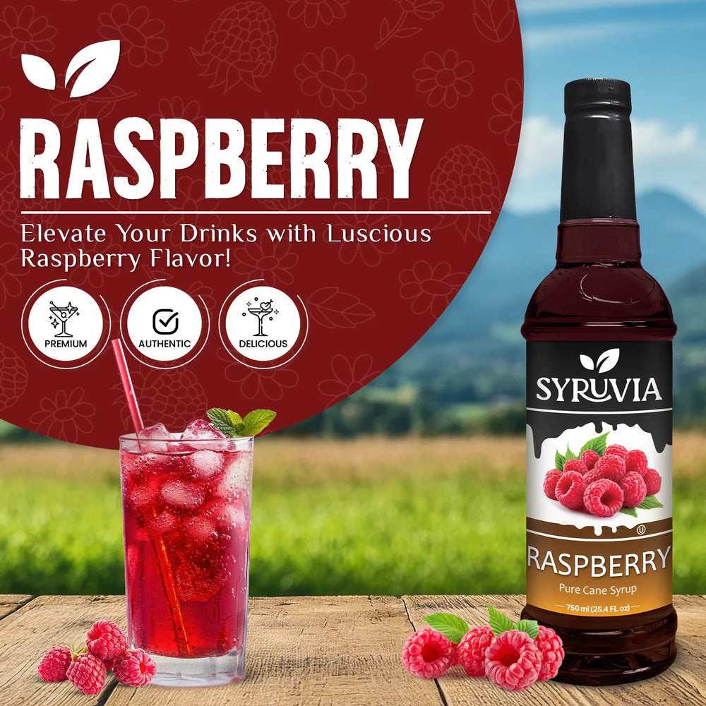 Syrup Rav Syruvia Raspberry Syrup for Drinks, Desserts & More – Only $7.99