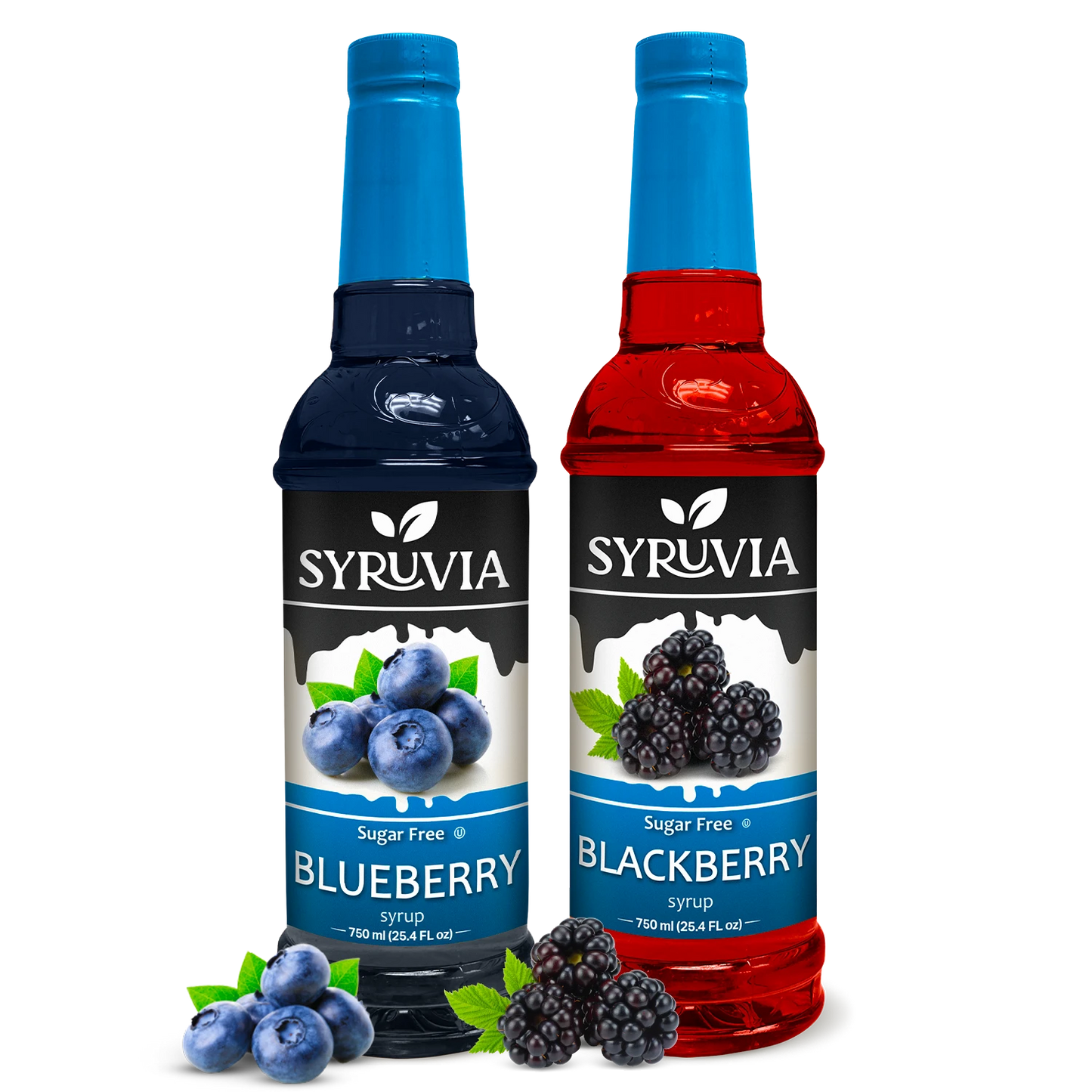 Variety Pack, Sugar-Free Blueberry, and Blackberry Syrup