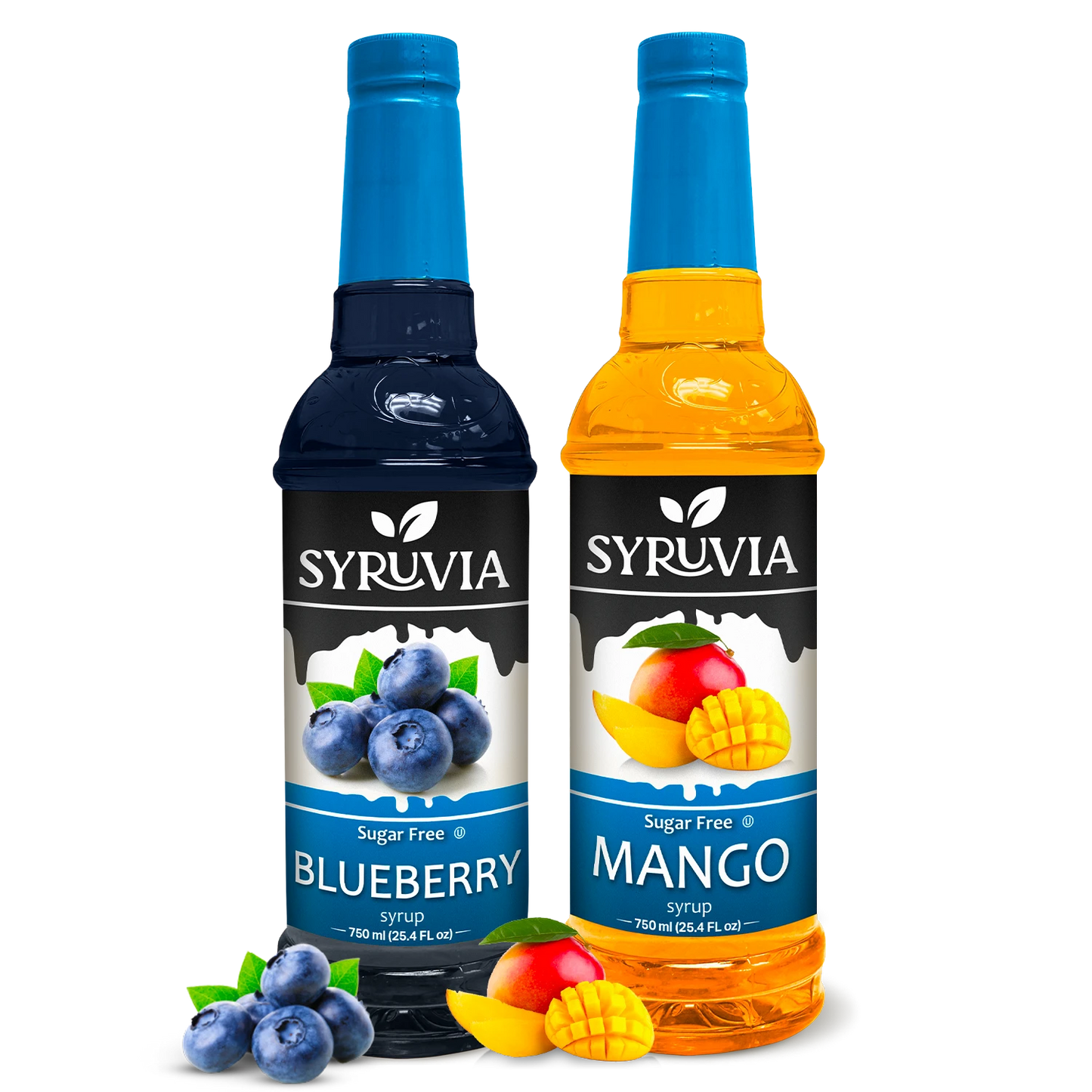 Variety Pack, Sugar-Free Blueberry, and Mango Syrup