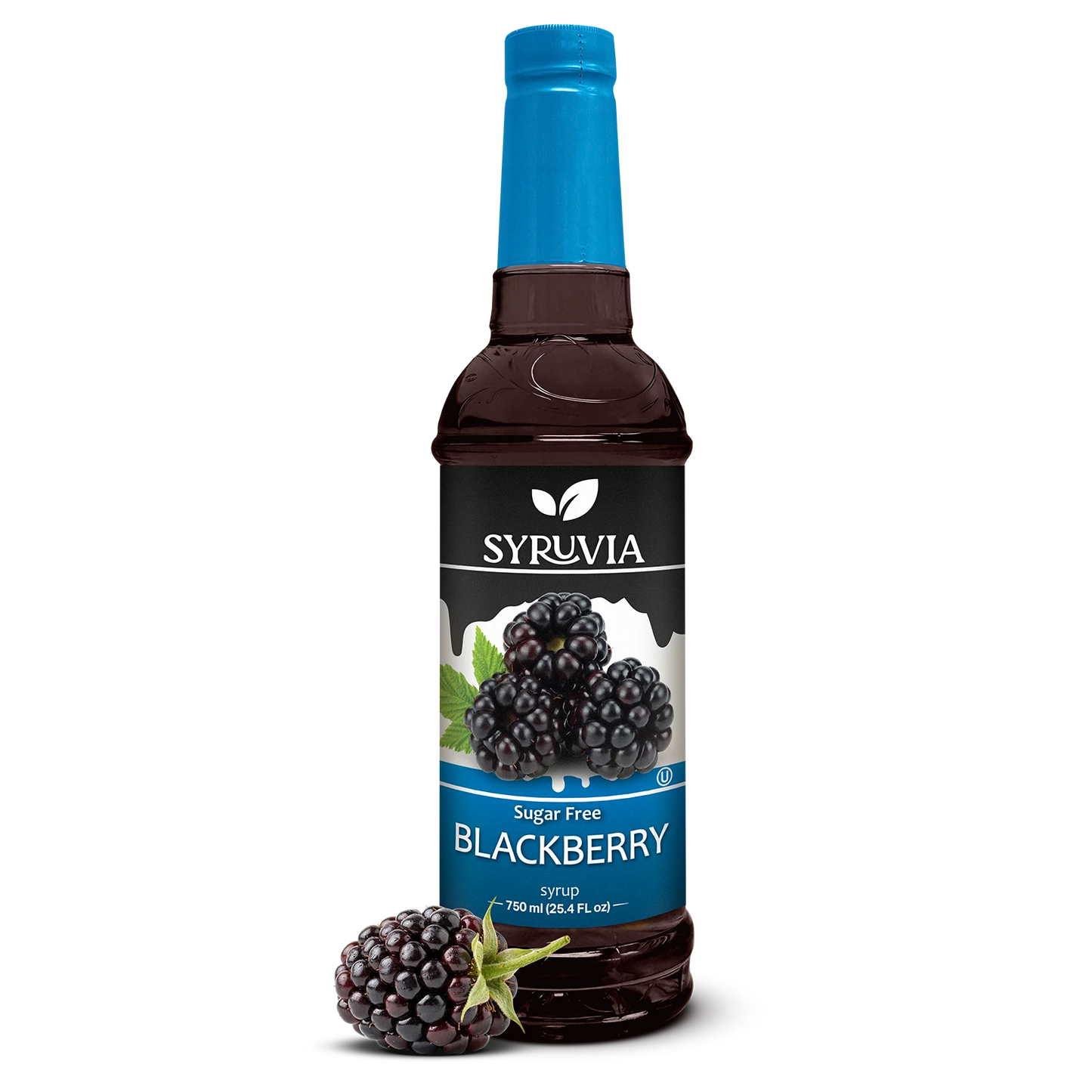 Sugar Free Blackberry Fruit Syrup