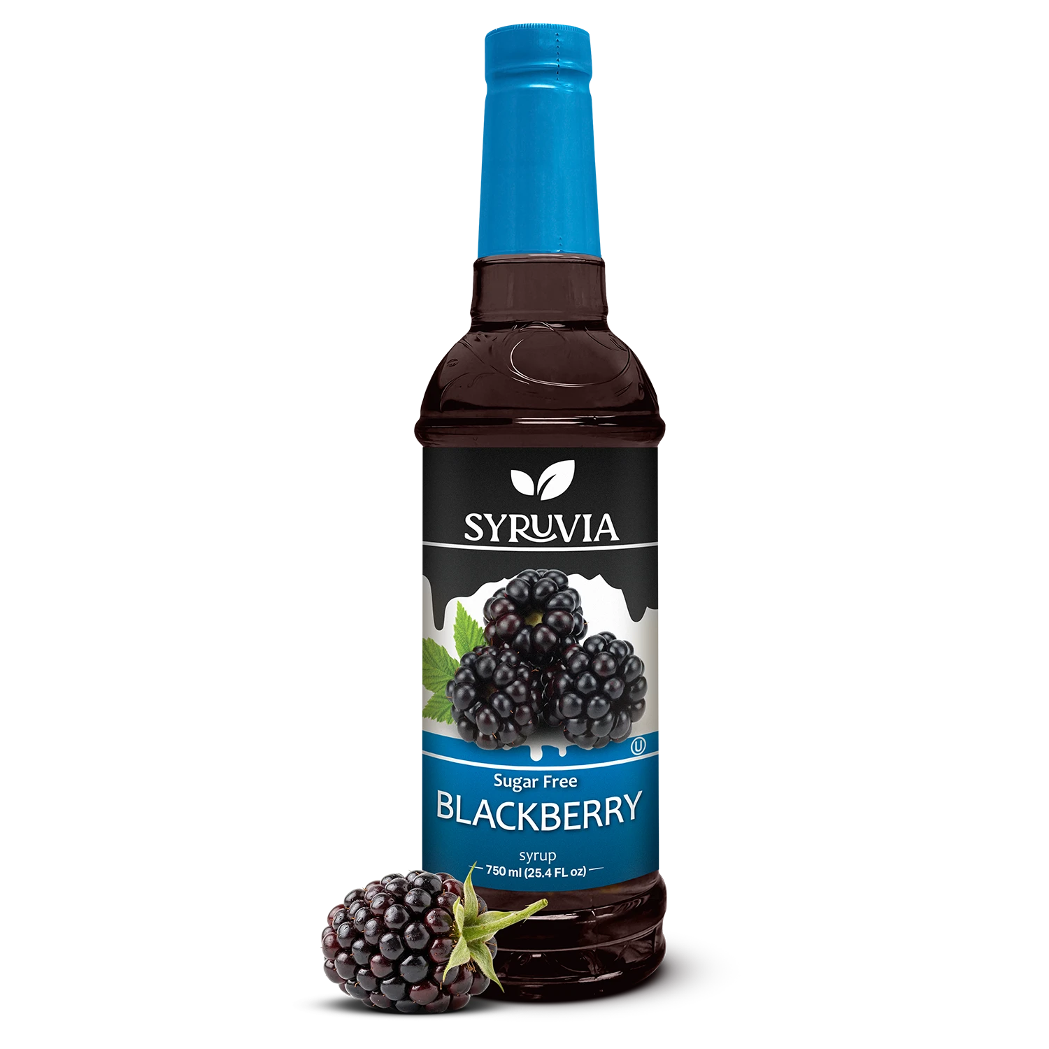 Sugar Free Blackberry Fruit Syrup