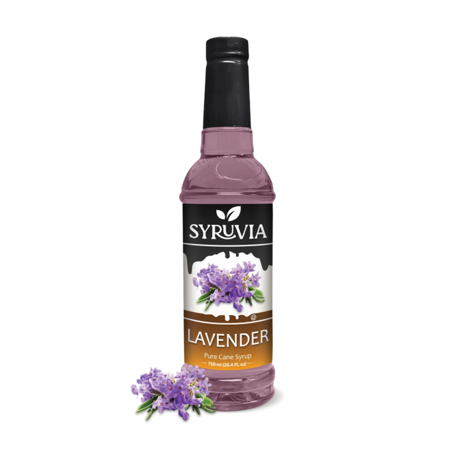 Syruvia Cane Sugar Syrup for Smooth Everyday Sweetness