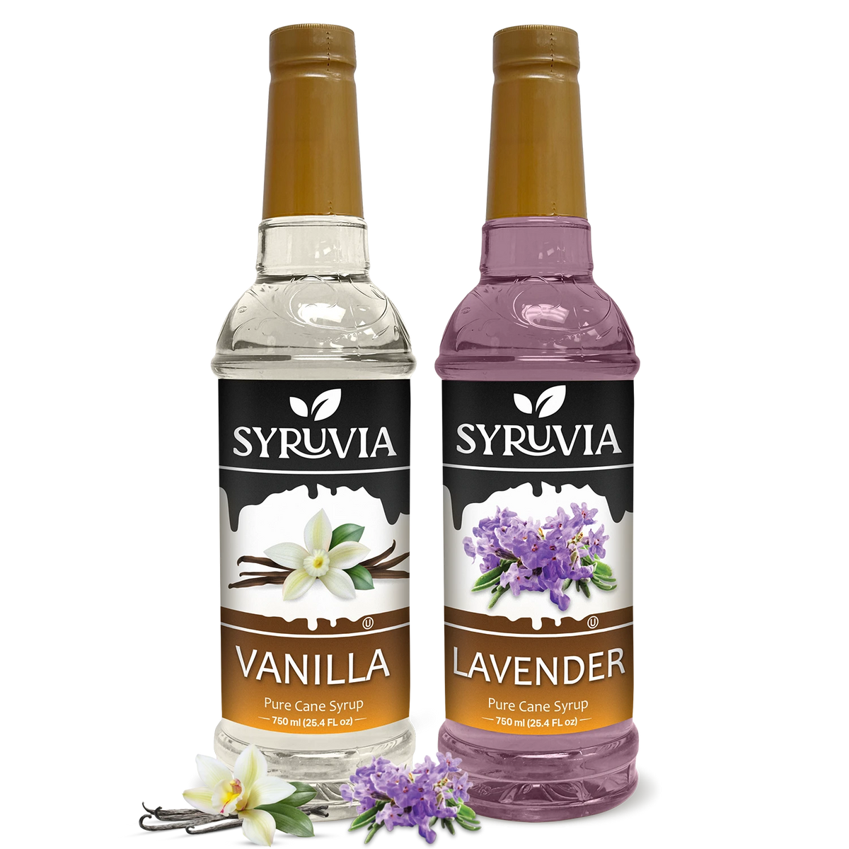 Syrup Rav Variety Pack, Vanilla, and Lavender Syrup – Syruvia