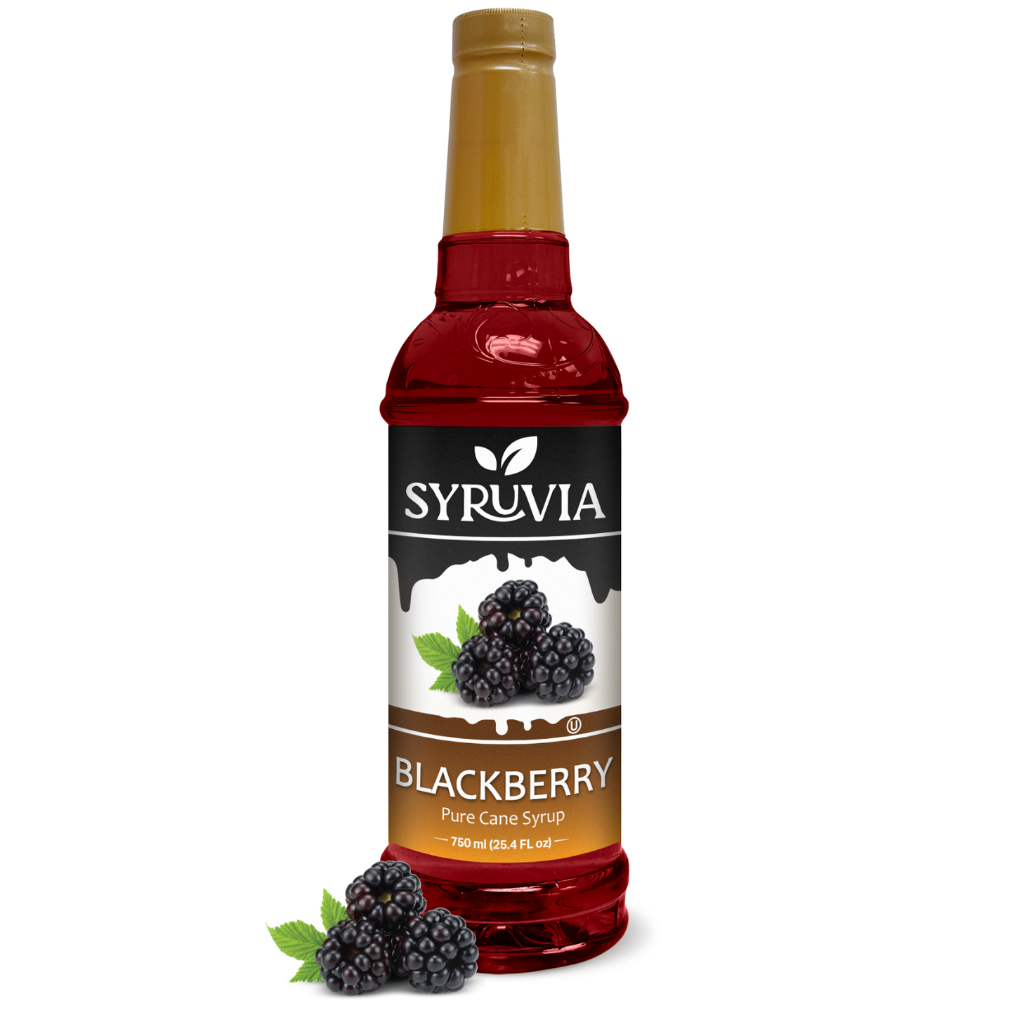 blackberry syrup cocktails 
