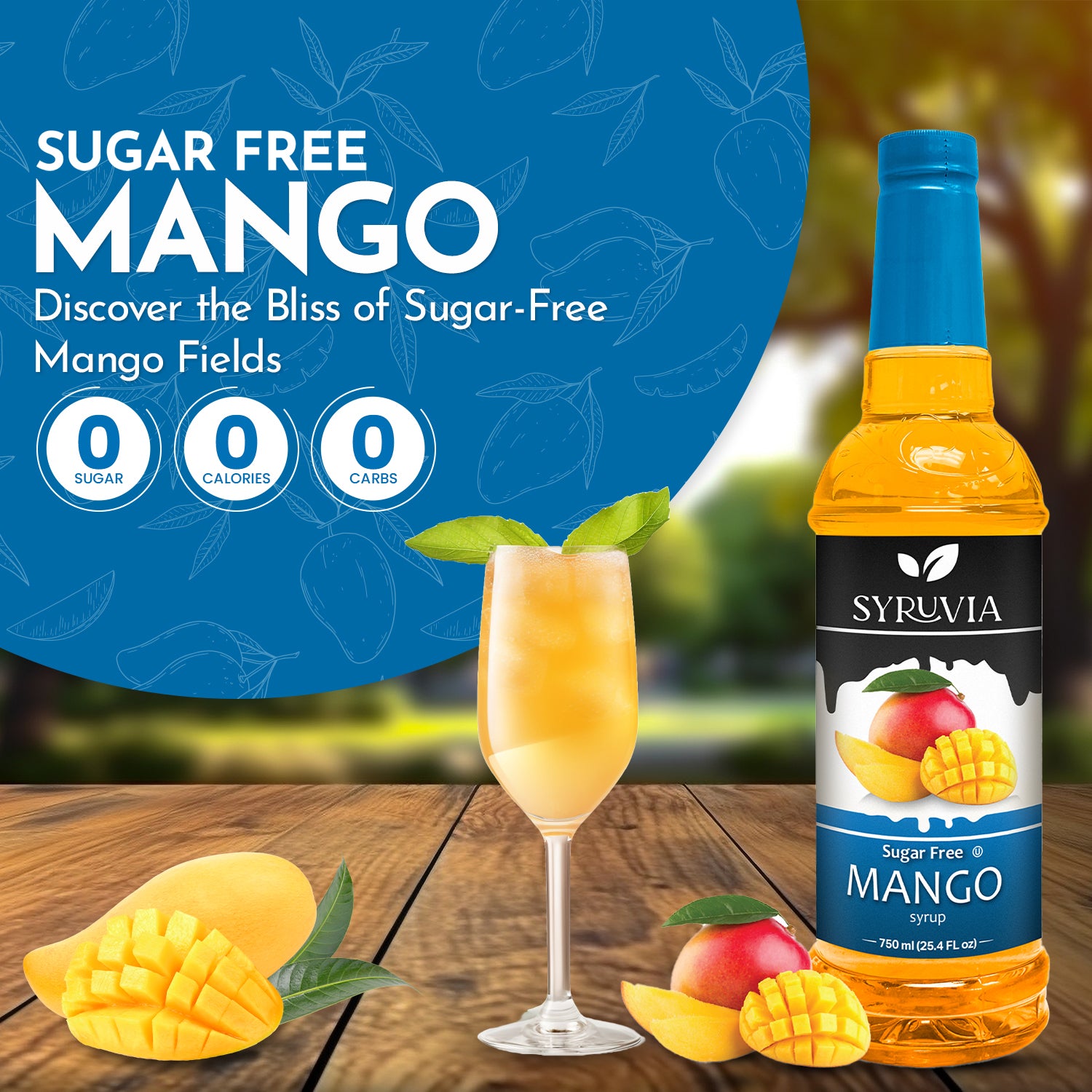 Red Mango Syrup Syruvia Sugar-Free Mango Syrup for Coffee, Teas & More – Only $6.99
