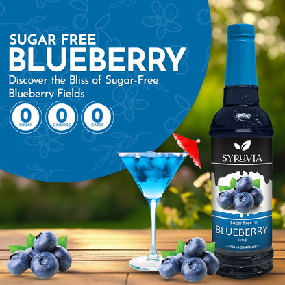 sugar free blueberry coffee syrup                         